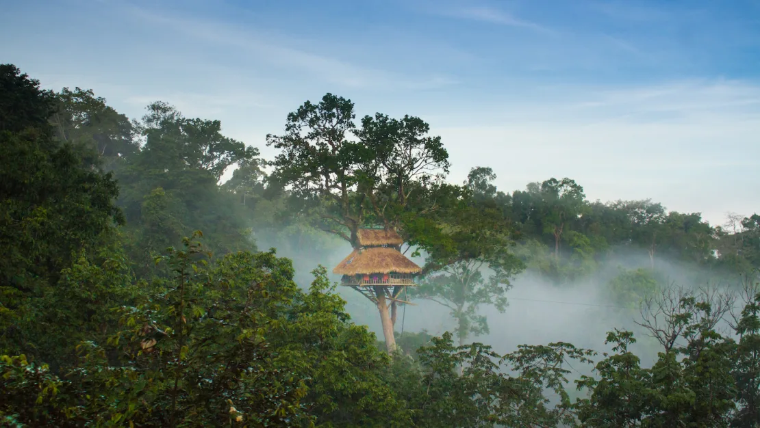 rumah-pohon-tertinggi-di-dunia-di-laos-pengalaman-unik-dengan-zip-line-dan-kemewahan-di-atas-pohon